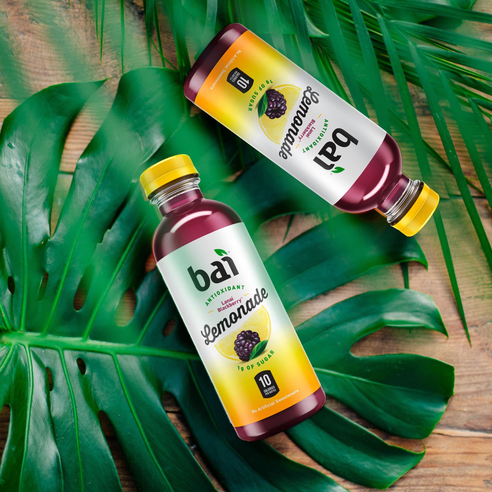 Bai — Antioxidant Infusion Drinks