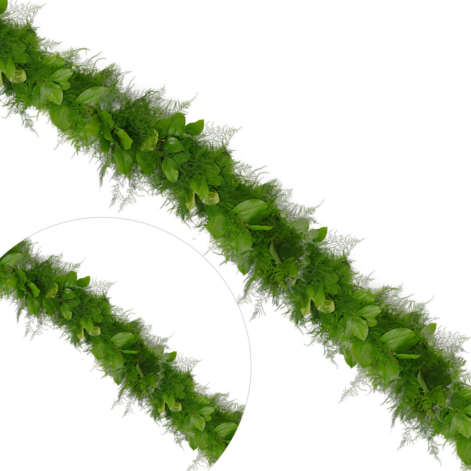 Tree Fern Salal Garland