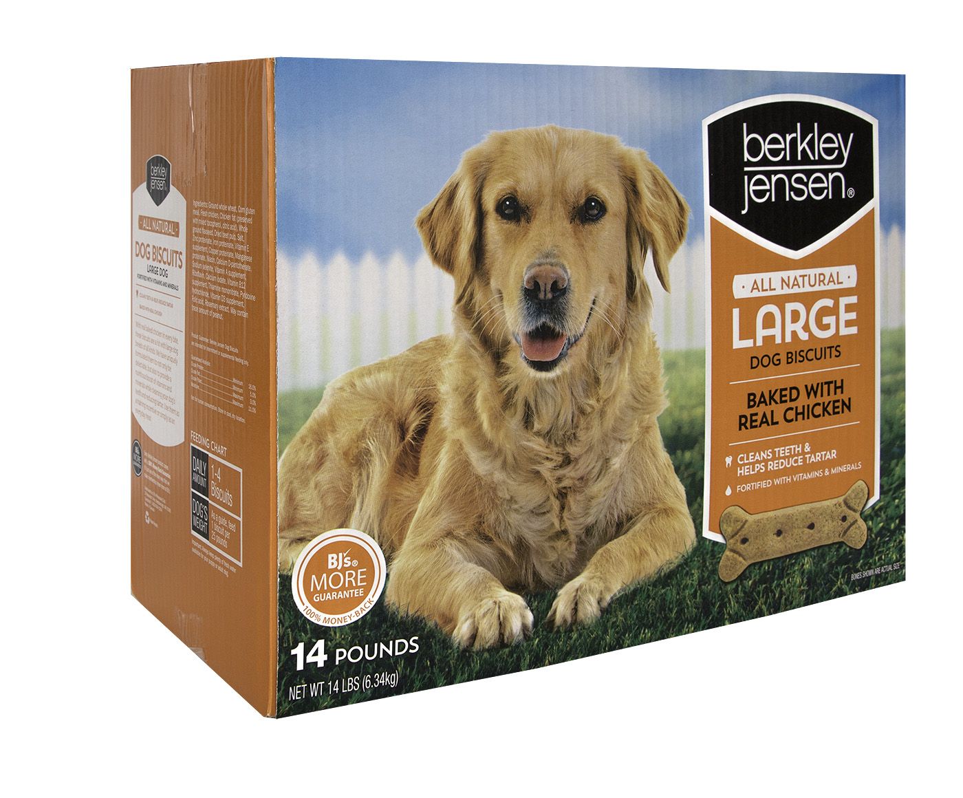 feeding betta brine shrimp