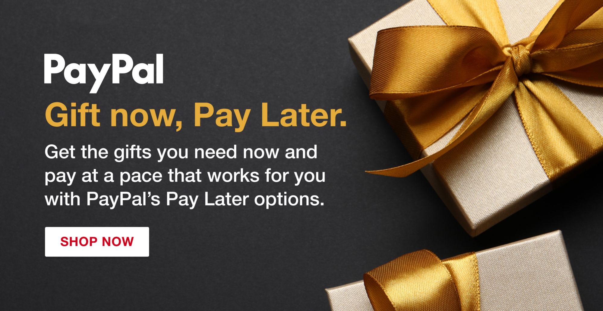 Buy Now Pay Later with Paypal