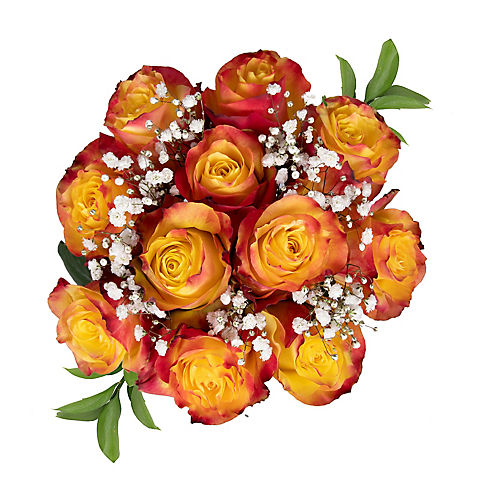 Rose Bouquets, 96 Stems - Assorted Bi-Color Novelty