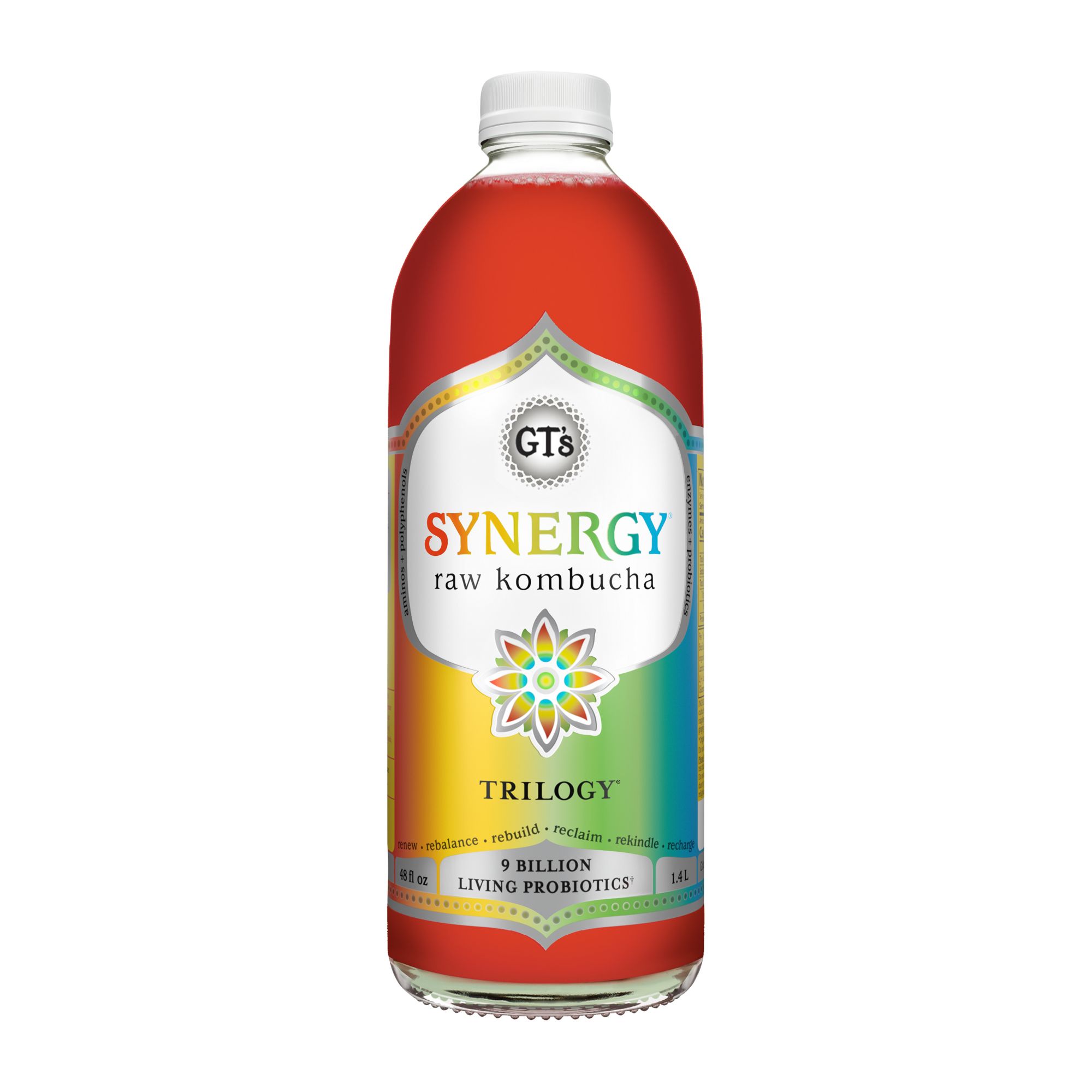 Synergy Nutrition Shaker Bottle - 18oz (3-pack)