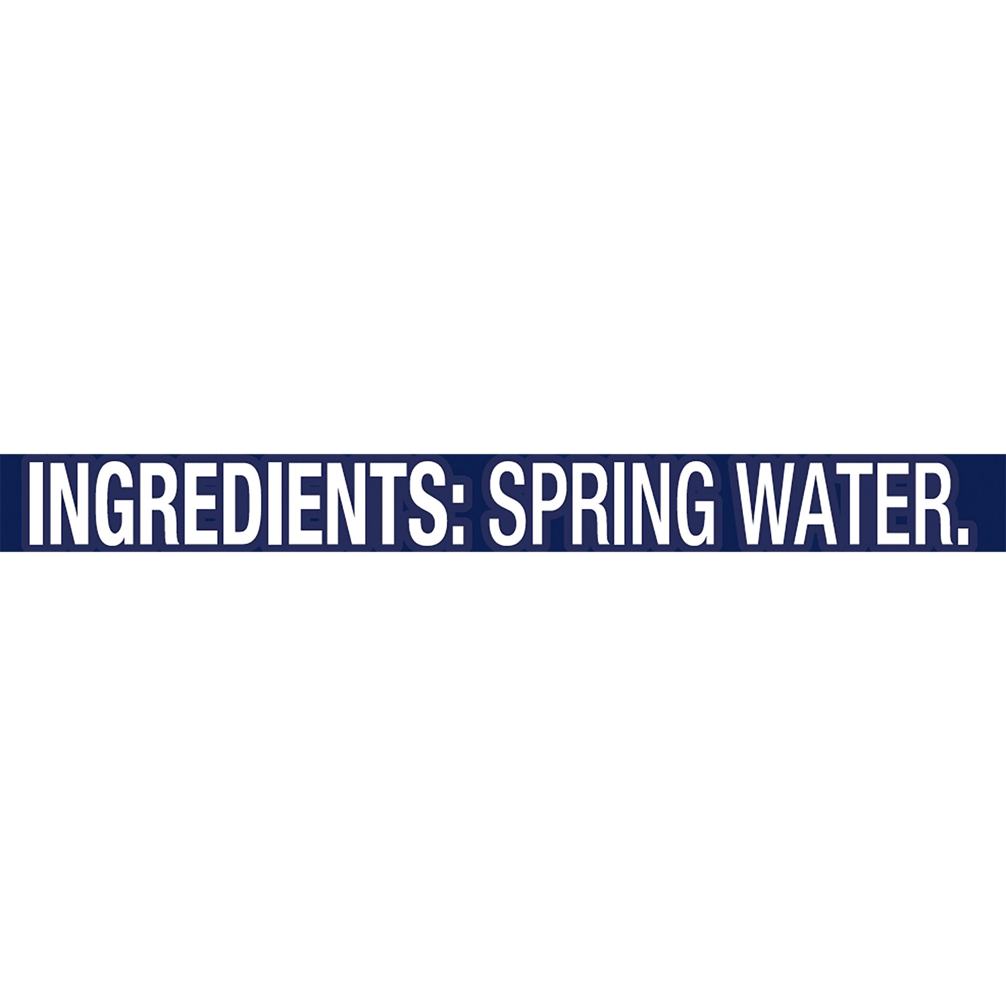 20 Ounce Bottled Spring Water  Poland Spring® Brand 100% Natural