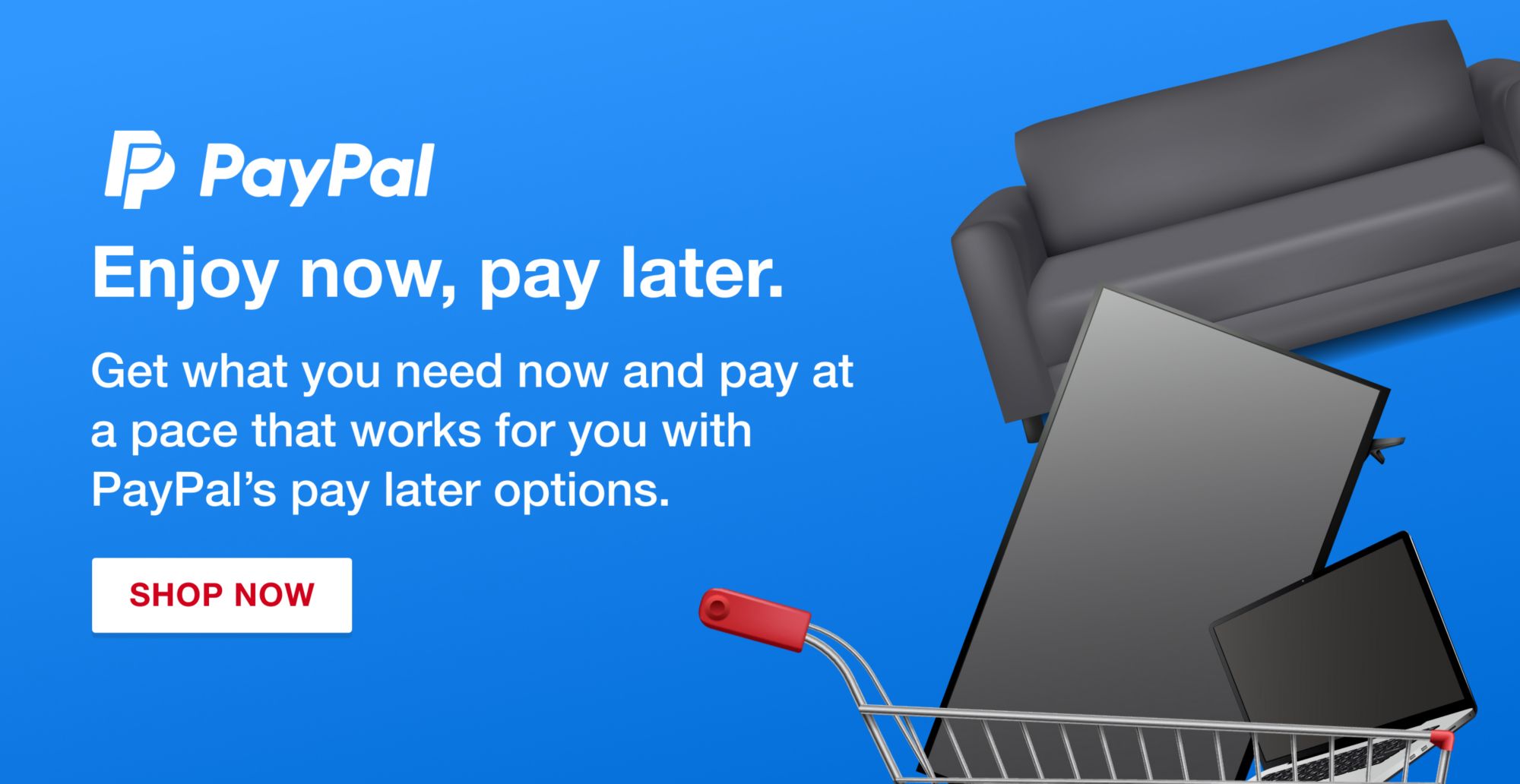Buy Now Pay Later with Paypal