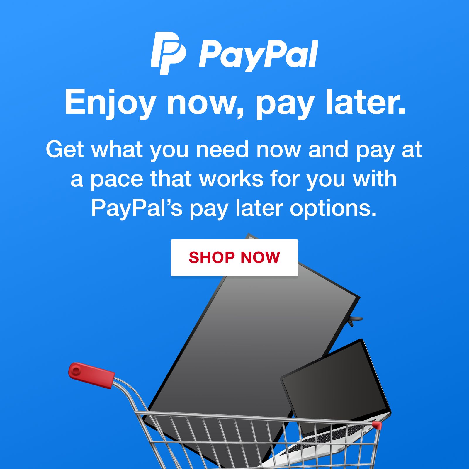 Buy Now Pay Later with Paypal