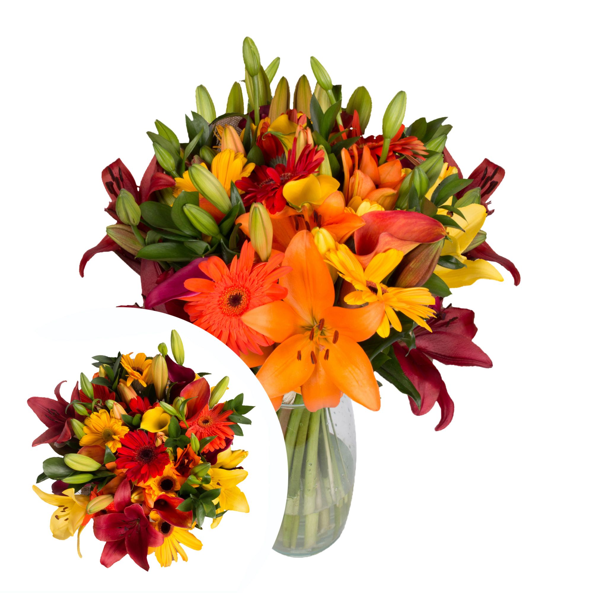 Orange Flowers - Wholesale Bulk Flowers - Blooms By The Box