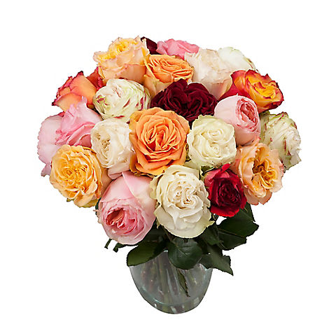 InBloom Color Wonders Garden Rose Bouquet, 24 pc.