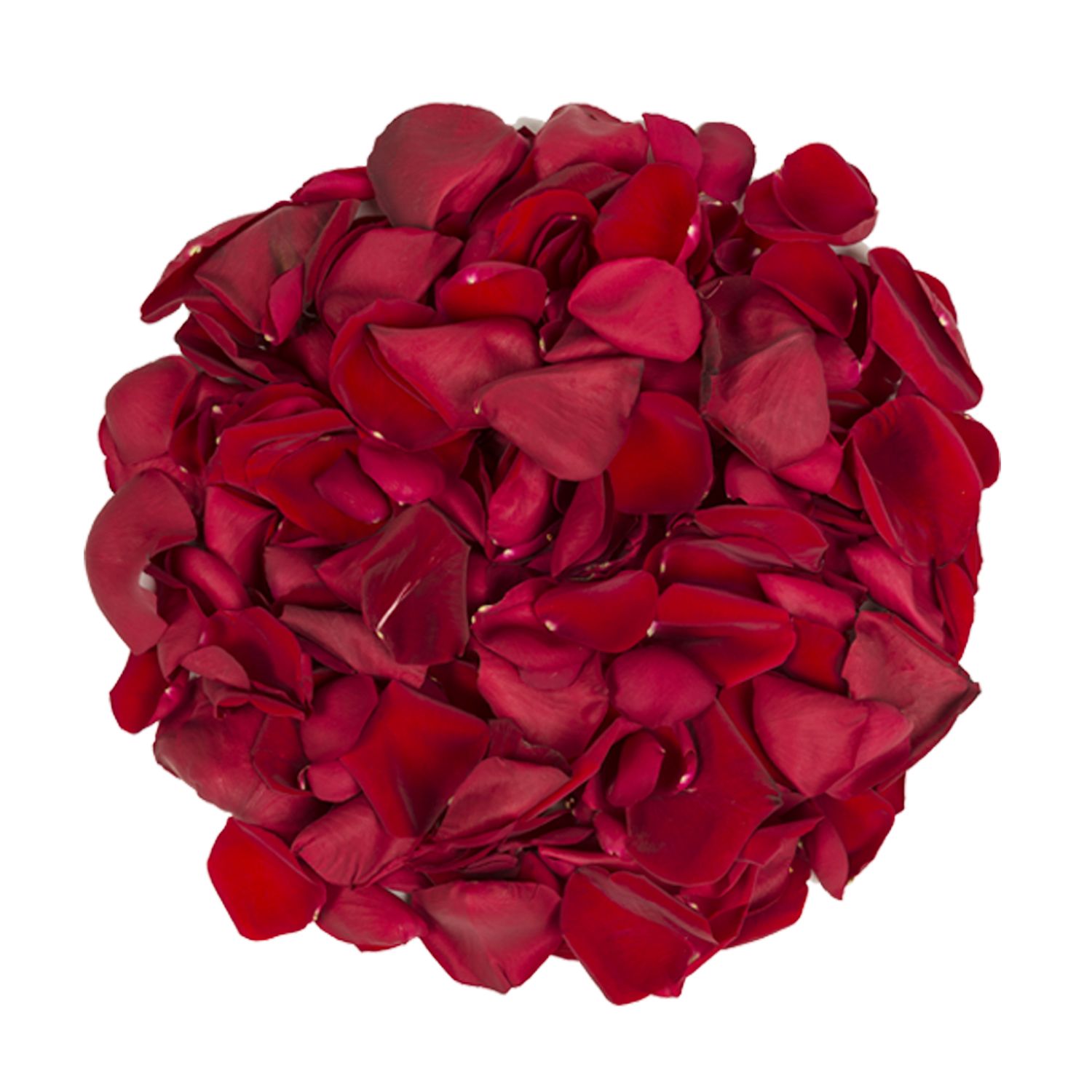 Fresh Red Rose Petals Bag