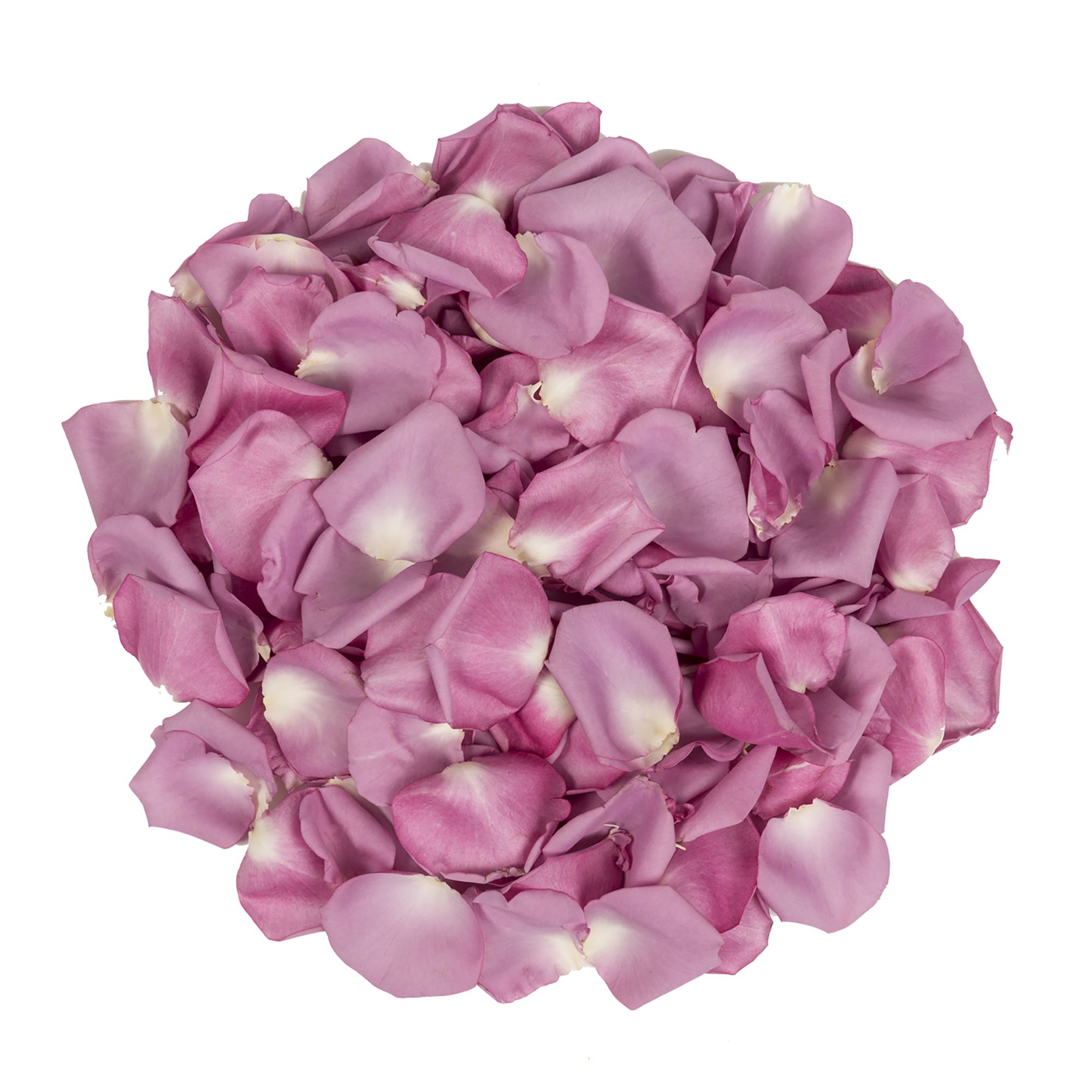 Wholesale Hot Pink Rose Petals, 3000-5000 Petals