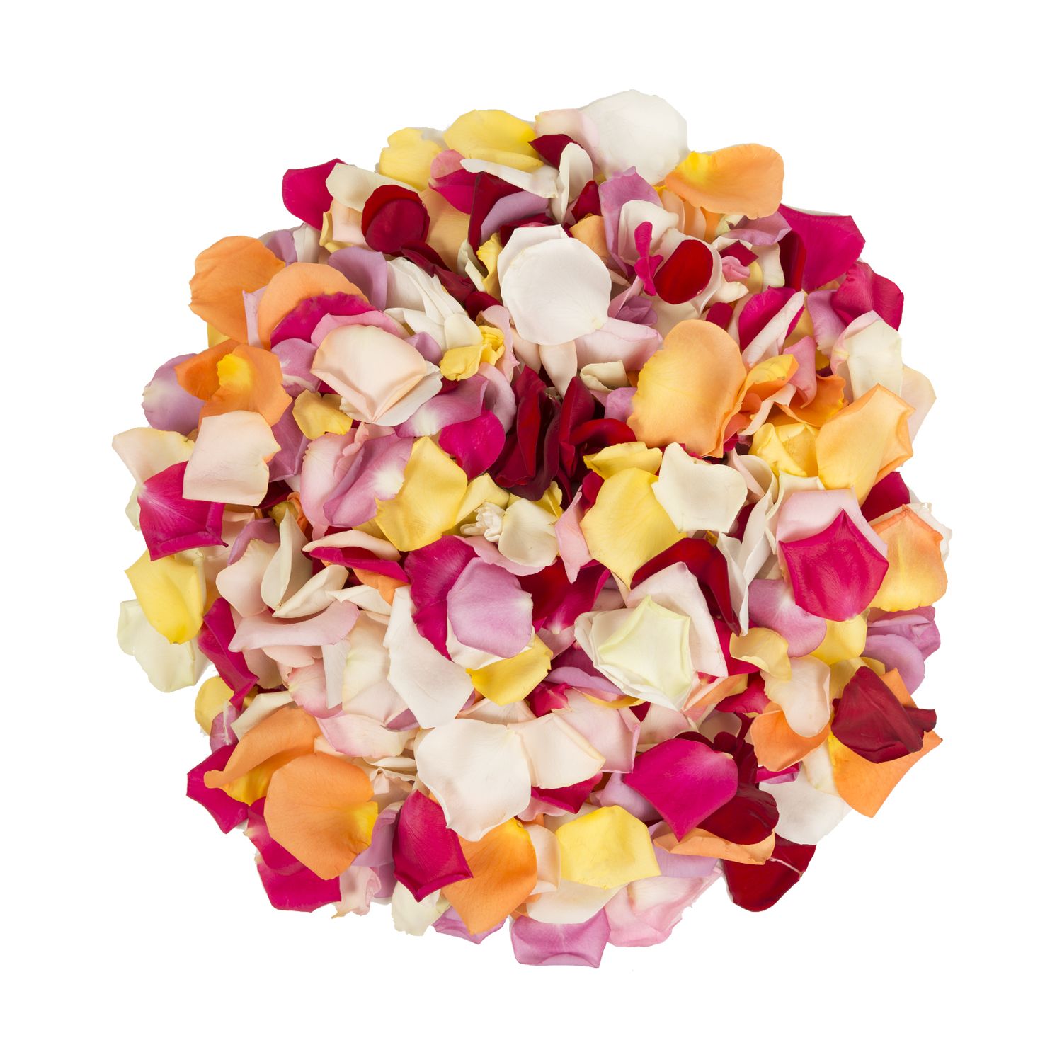 Wholesale Hot Pink Rose Petals, 3000-5000 Petals