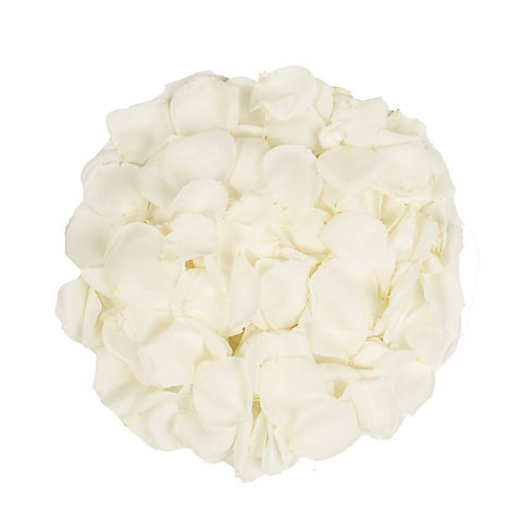 5,000 Rose Petals - White