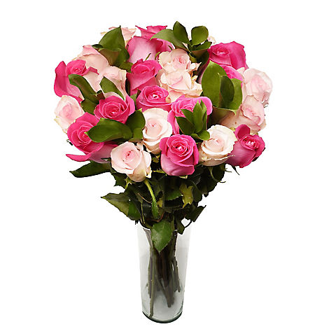 Two Dozen Pink Lady (Dark/Light) Roses Bouquet