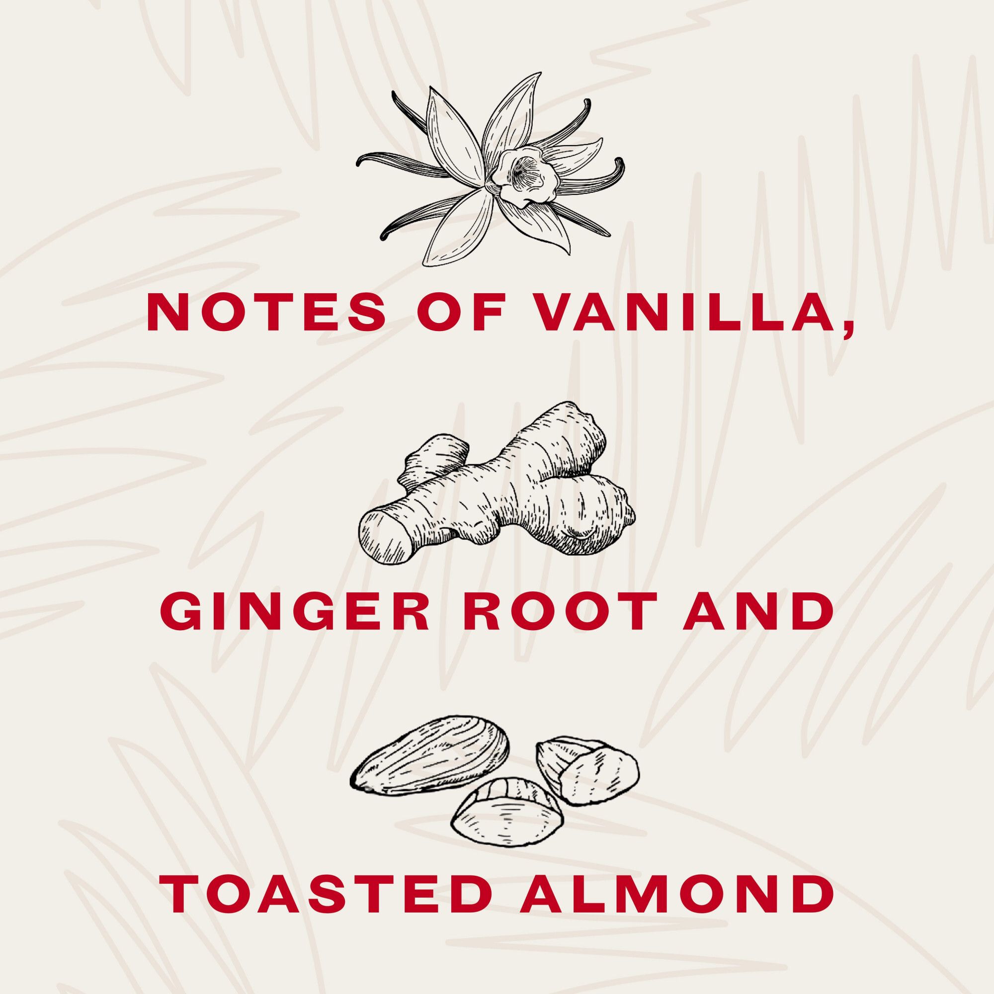 Bacardi Gold Rum, 1.75L