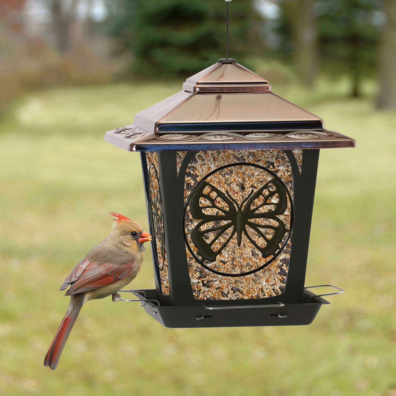 SODA BOTTLE BIRD FEEDER⎟le comptoir americain