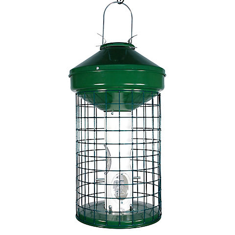 National Audubon Squirrel-Resistant Heavy-Duty Caged Mixed Seed Feeder