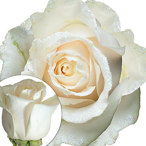 White Glitter Rose, 100 ct. - Iridescent