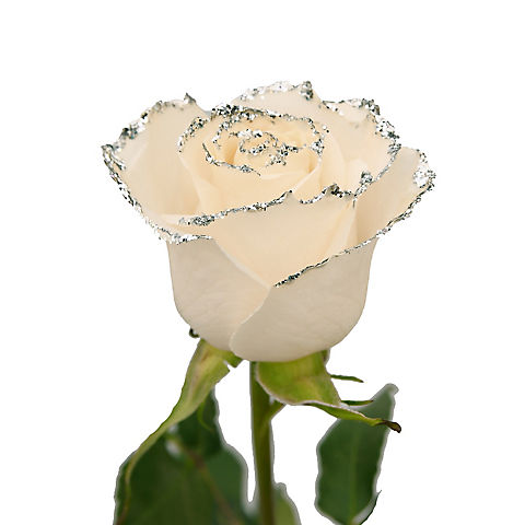 White Glitter Rose, 100 ct. - Silver