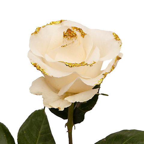 White Glitter Rose, 100 ct. - Gold