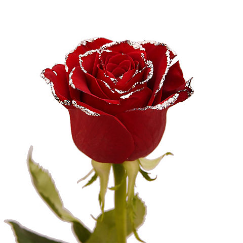 Red Glitter Rose, 100 Stems - Silver