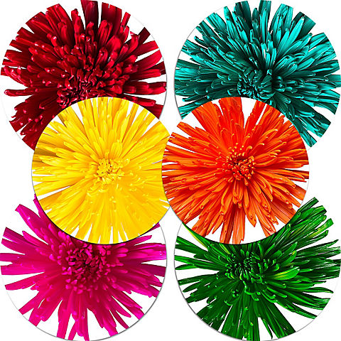 Painted Spider Mums, 100 Stems - Fiesta Assorted