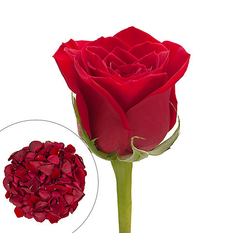 Roses and Petals Combo Box, 75/2,000 pk. - Red