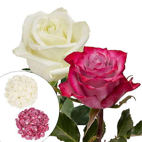 Roses and Petals Combo Box, 50/25/2,000 pk. -  White, Lavender