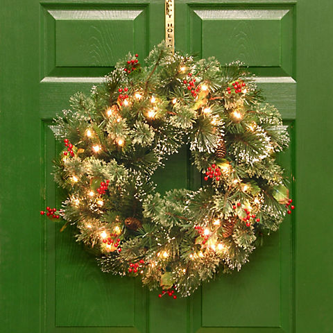National Tree Company 24" Wintry Pine Wreath with Cones