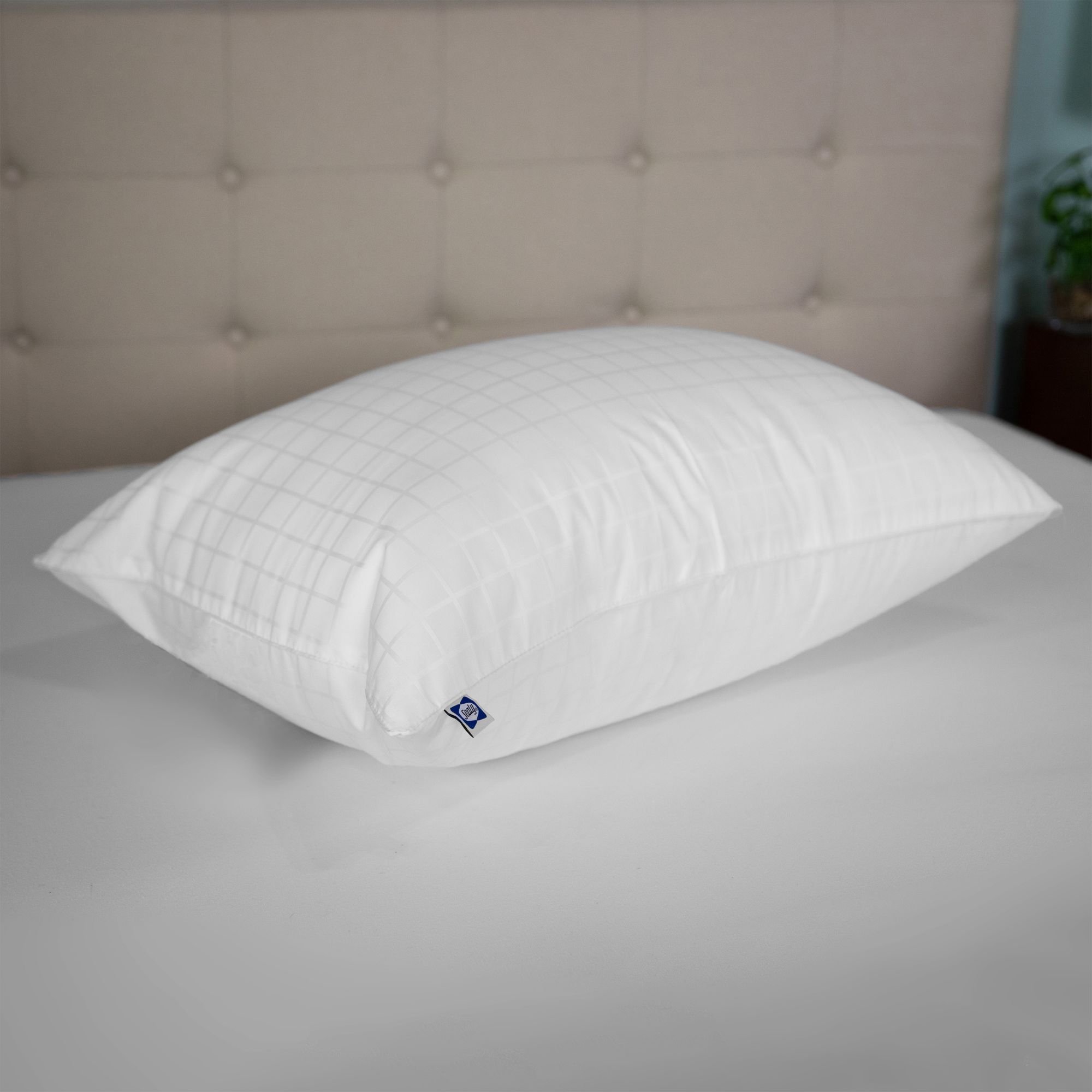 Sealy Extra Firm 300 Thread Count Side Sleeper Pillow King Size (Set of 2)  (As Is Item)