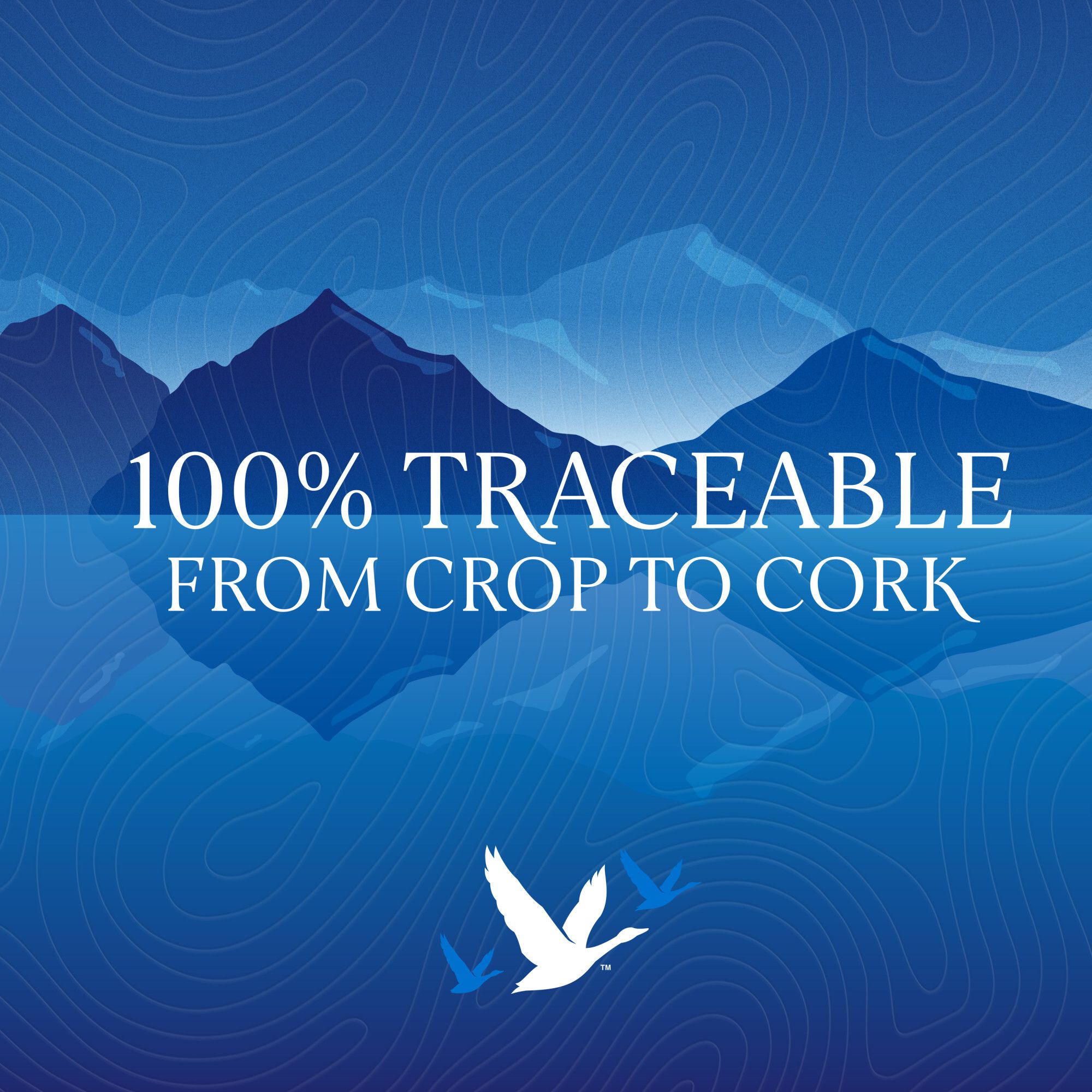 Grey Goose Vodka, 1.75L