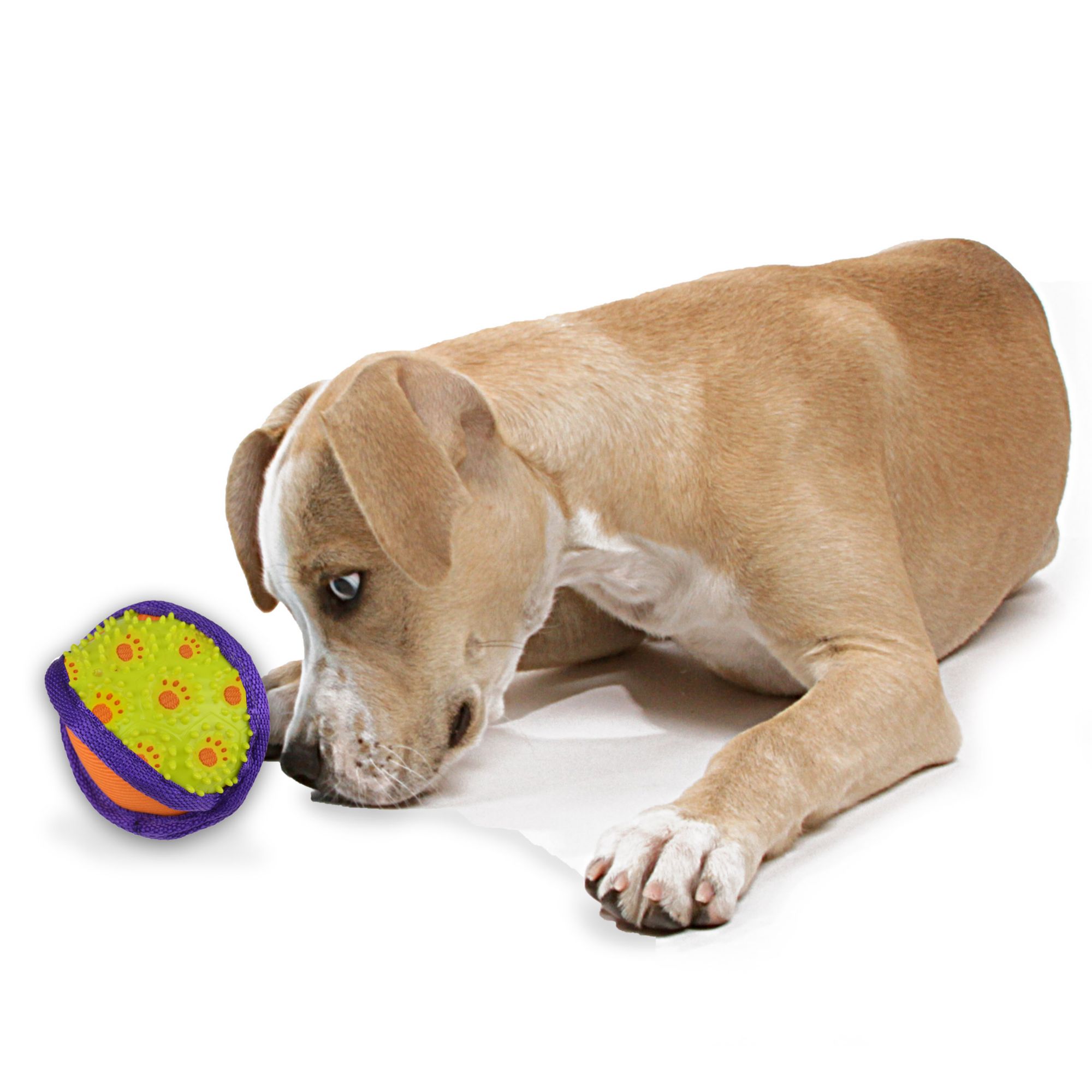 Pet Zone Chompy Chewers Ball | BJ's Wholesale Club