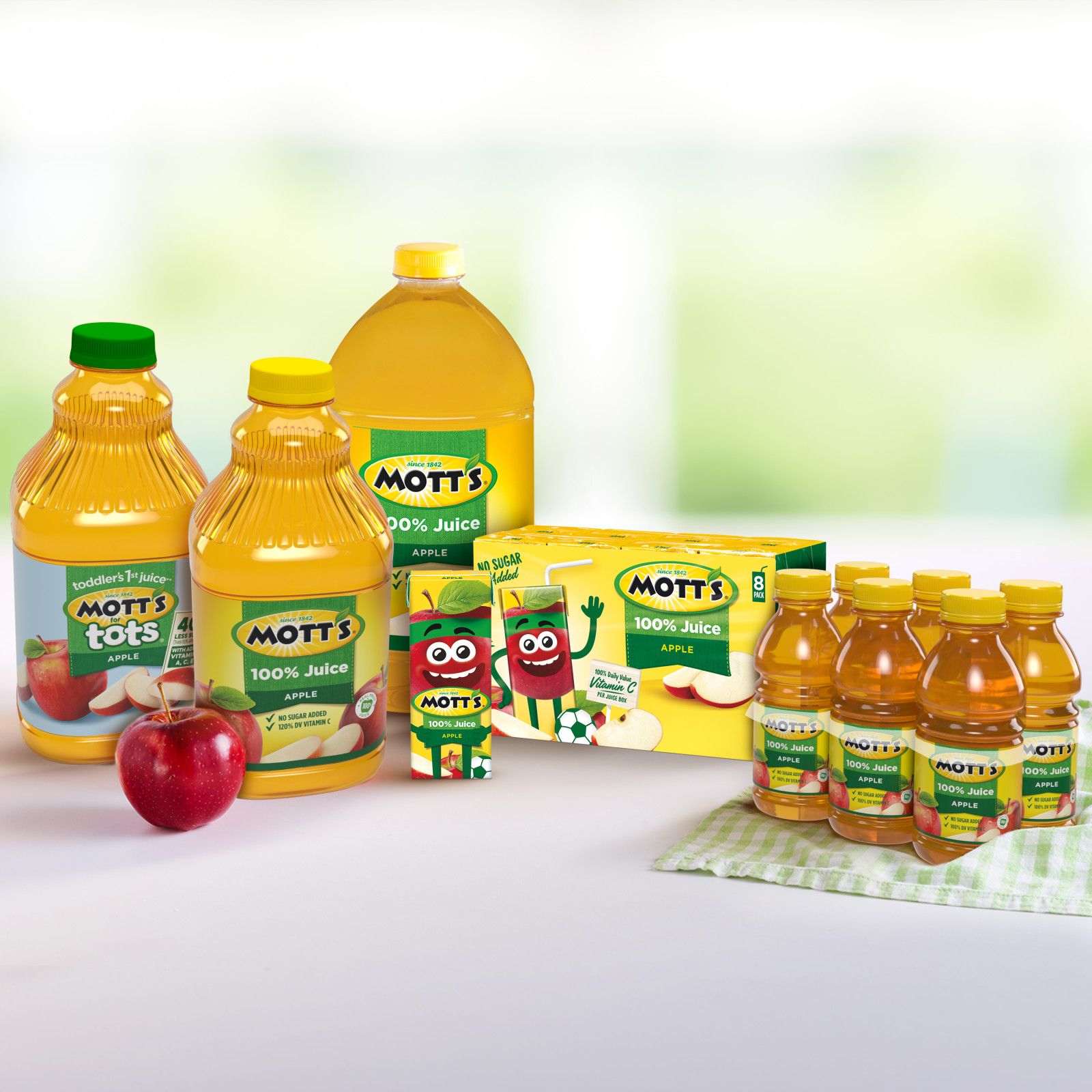 Mott's Apple Juice 10 fl. oz. - 24/Case