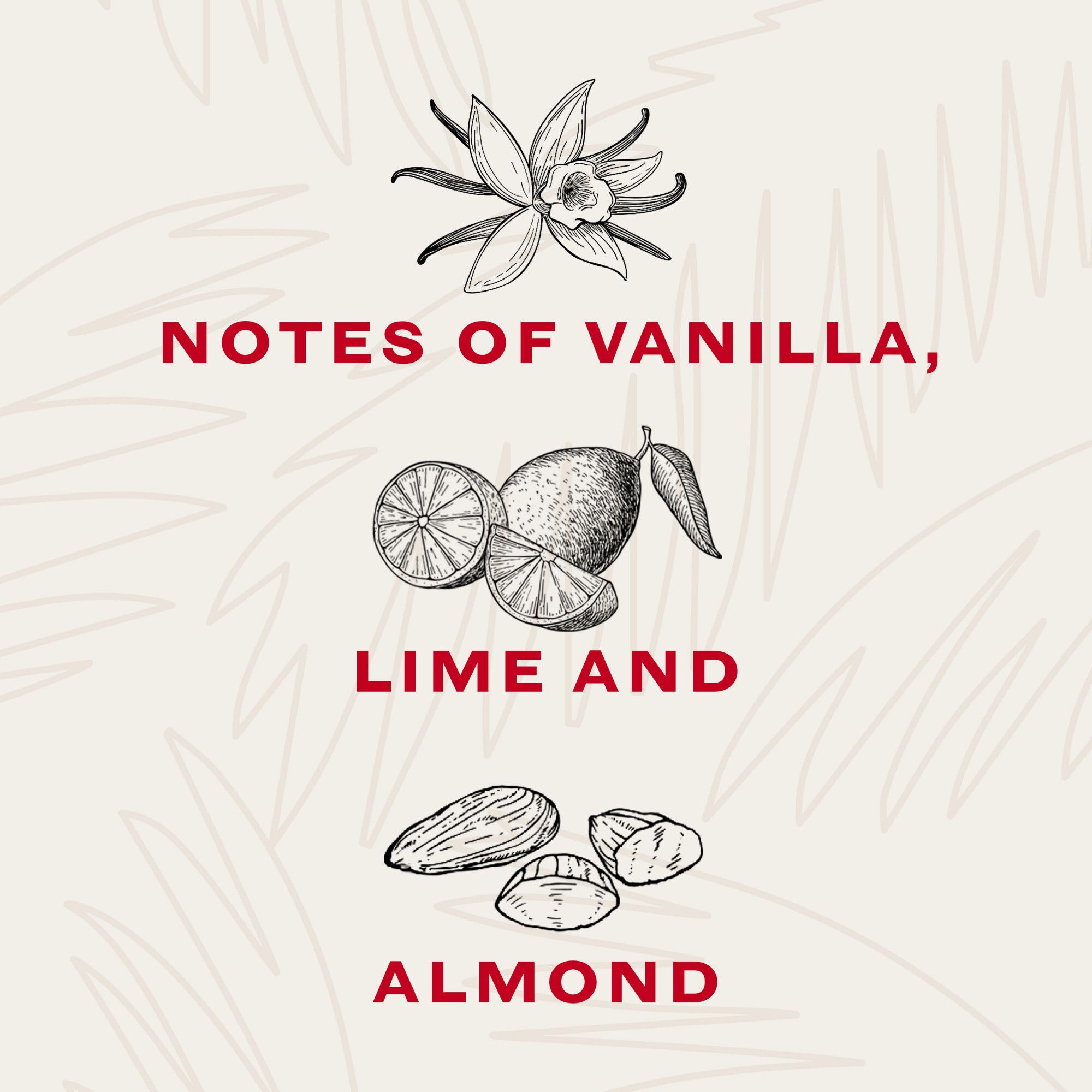 Bacardi Superior Light Rum, 1.75L