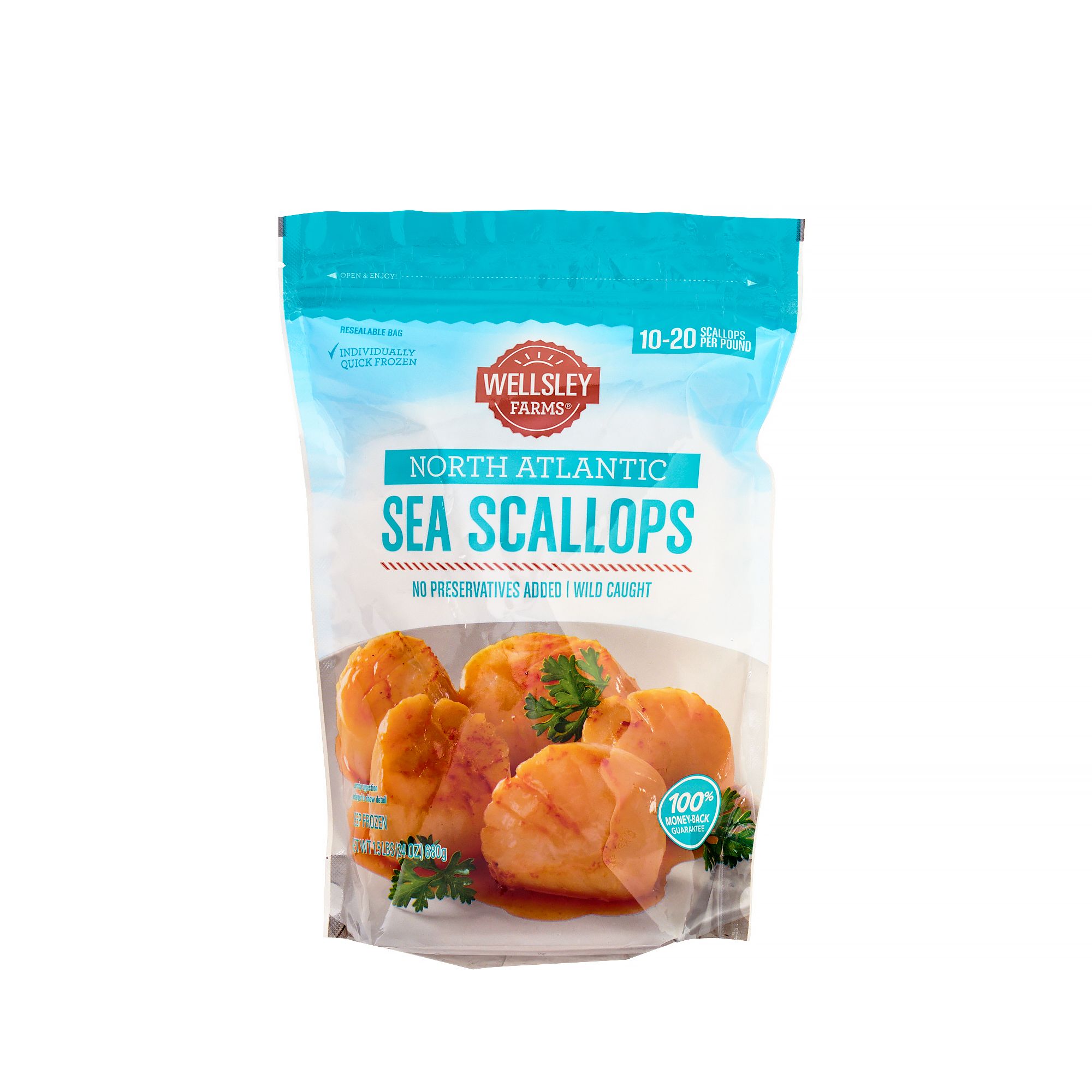 Atlantic Sea Scallop