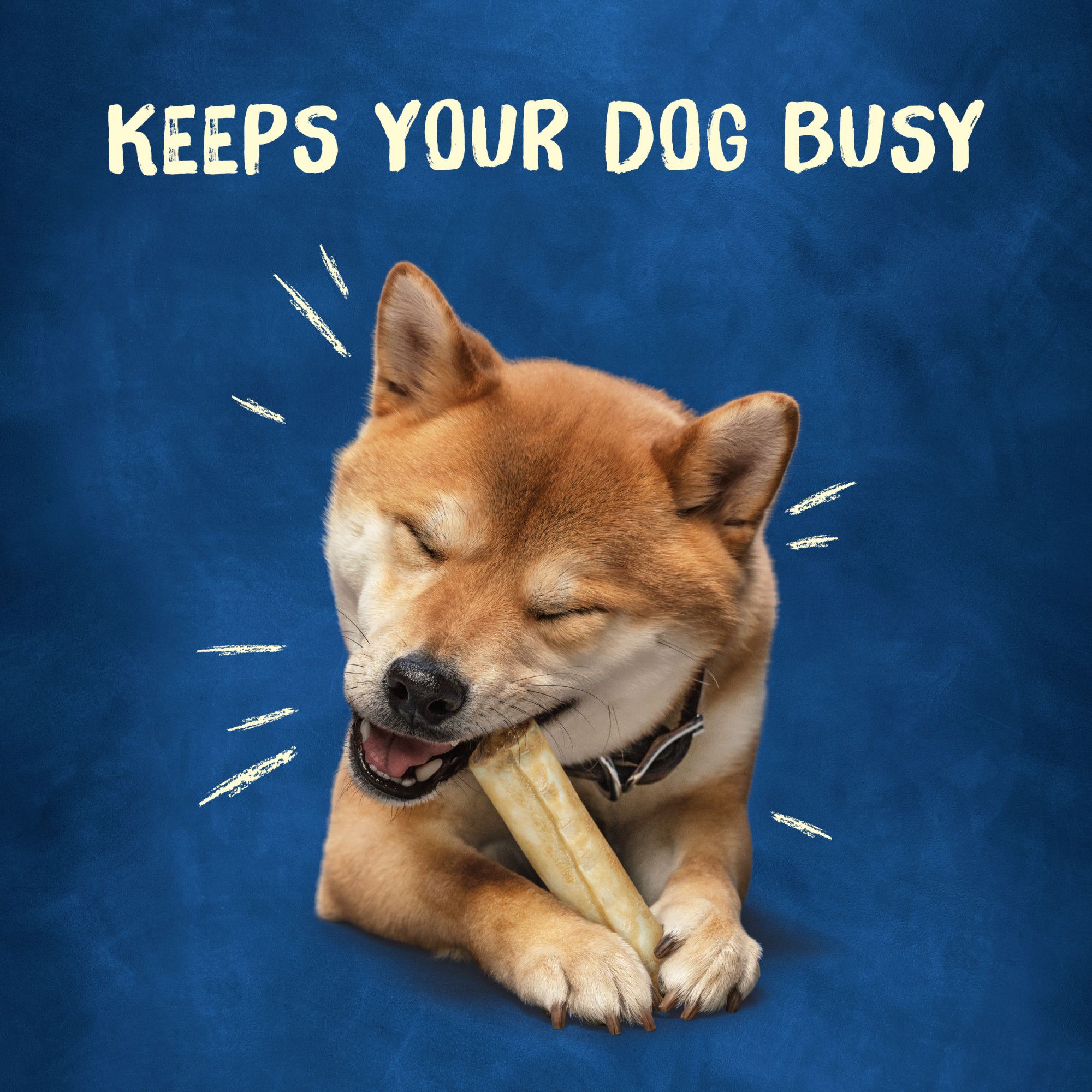 9 Best Dog Chews and Treats to Keep Your Dog Busy - Aha!NOW