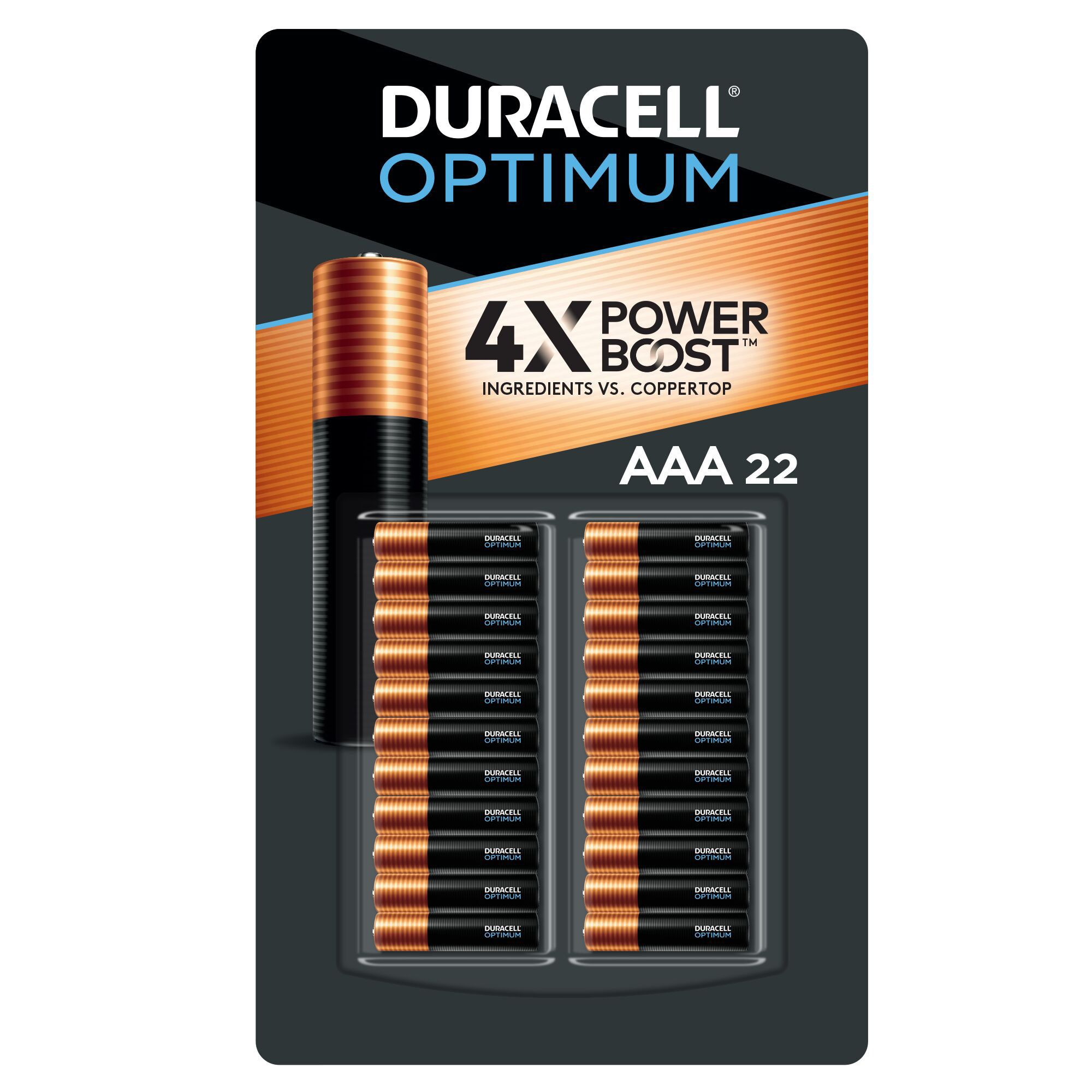 Duracell AAA Plus Power Alkaline Batteries, 12 Pack