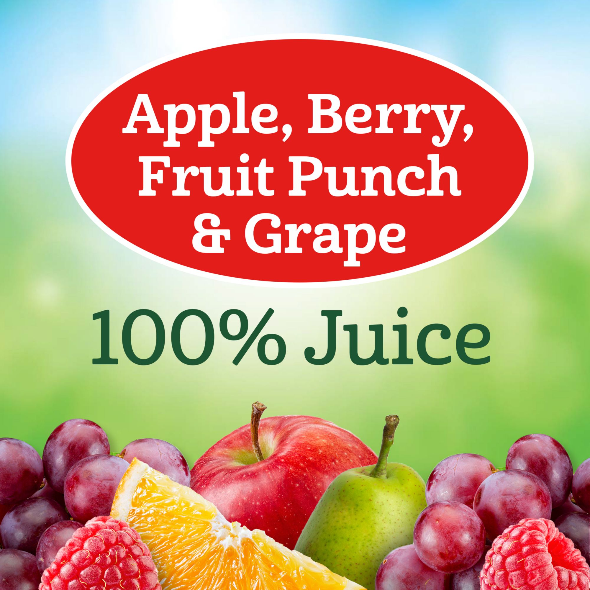 Juicy Juice Variety Pack, 32 ct./6.75 oz.