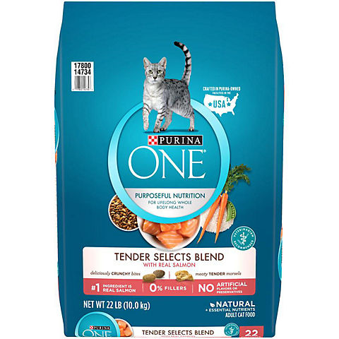 Purina ONE Tender Selects Blend With Real Salmon Natural Dry Cat Food, 22 lb.