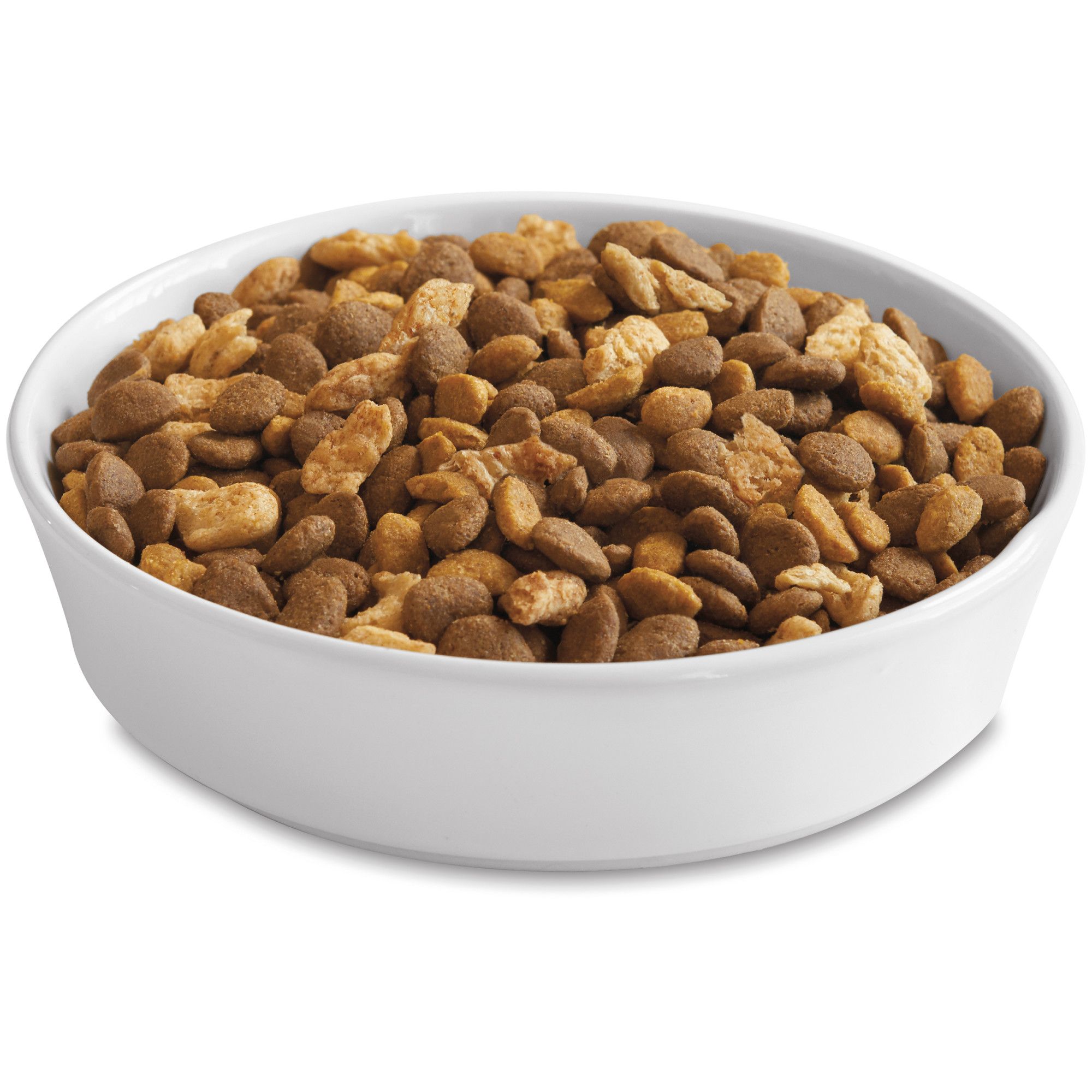 Purina ONE Tender Selects Natural Dry Cat Food