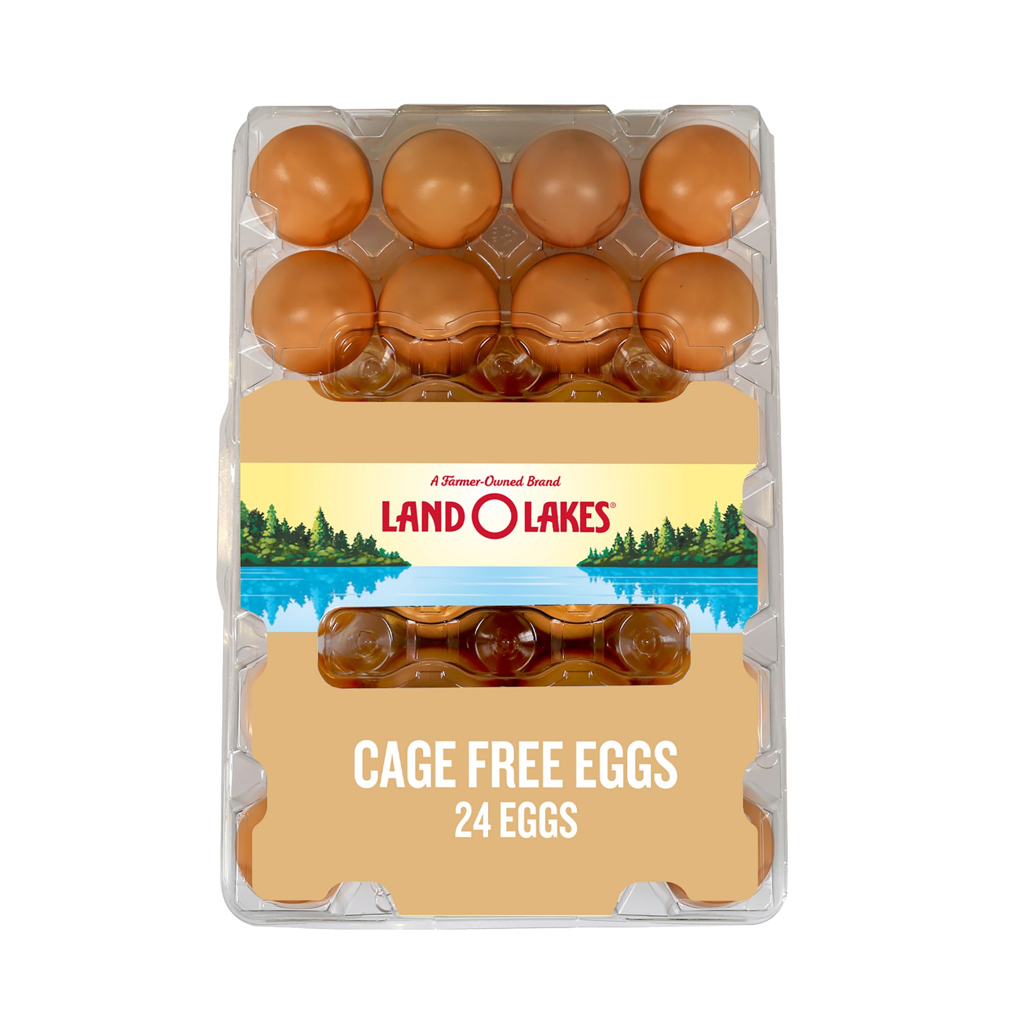 18 Count Egg Cartons: One of the World's Largest Egg Suppliers