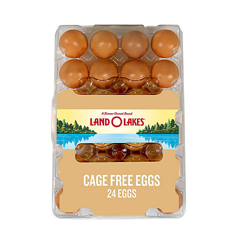 Land O Lakes Large Brown Cage Free Grade A Eggs, 24 ct.