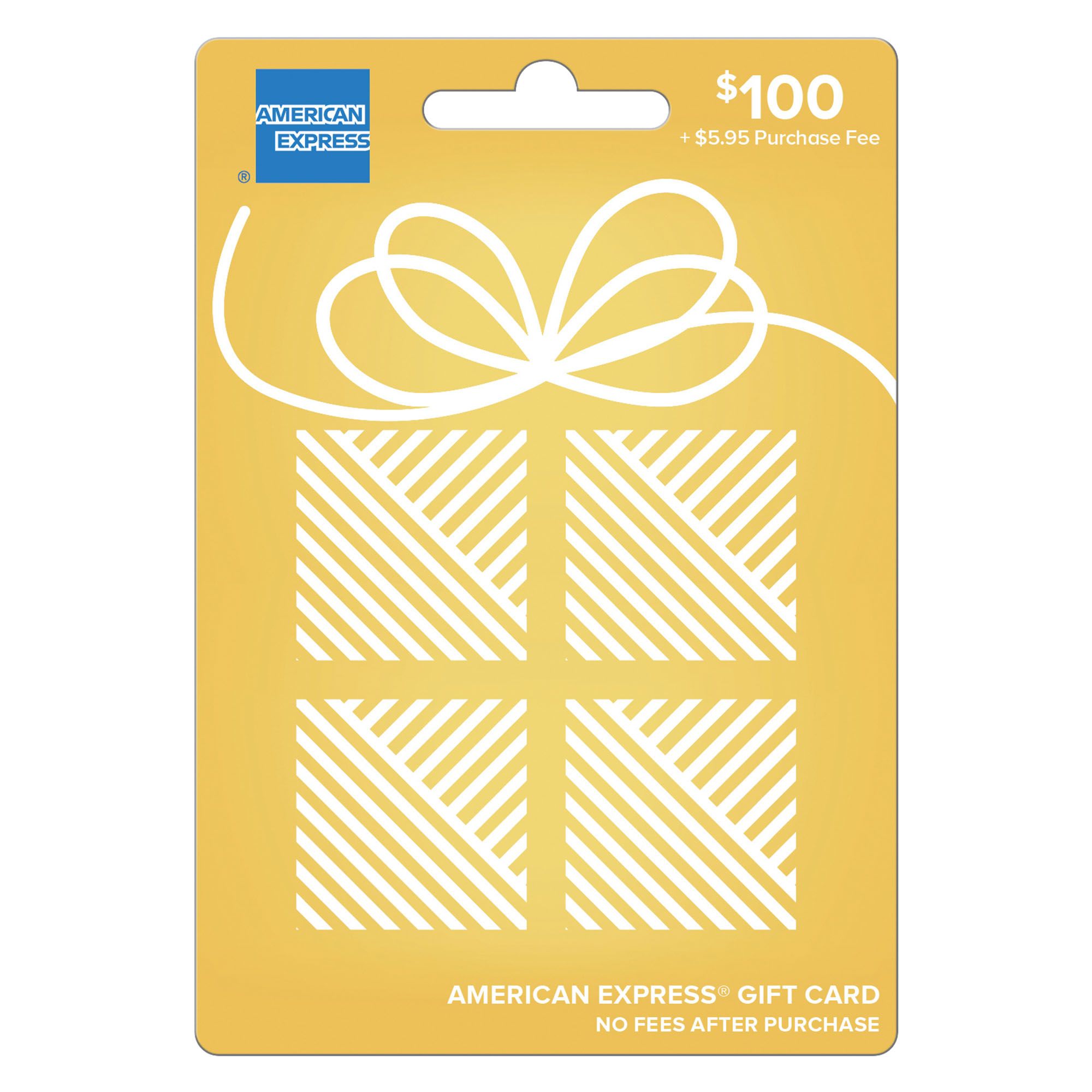 $100 Visa Gift Card (plus $5.95 Purchase Fee)