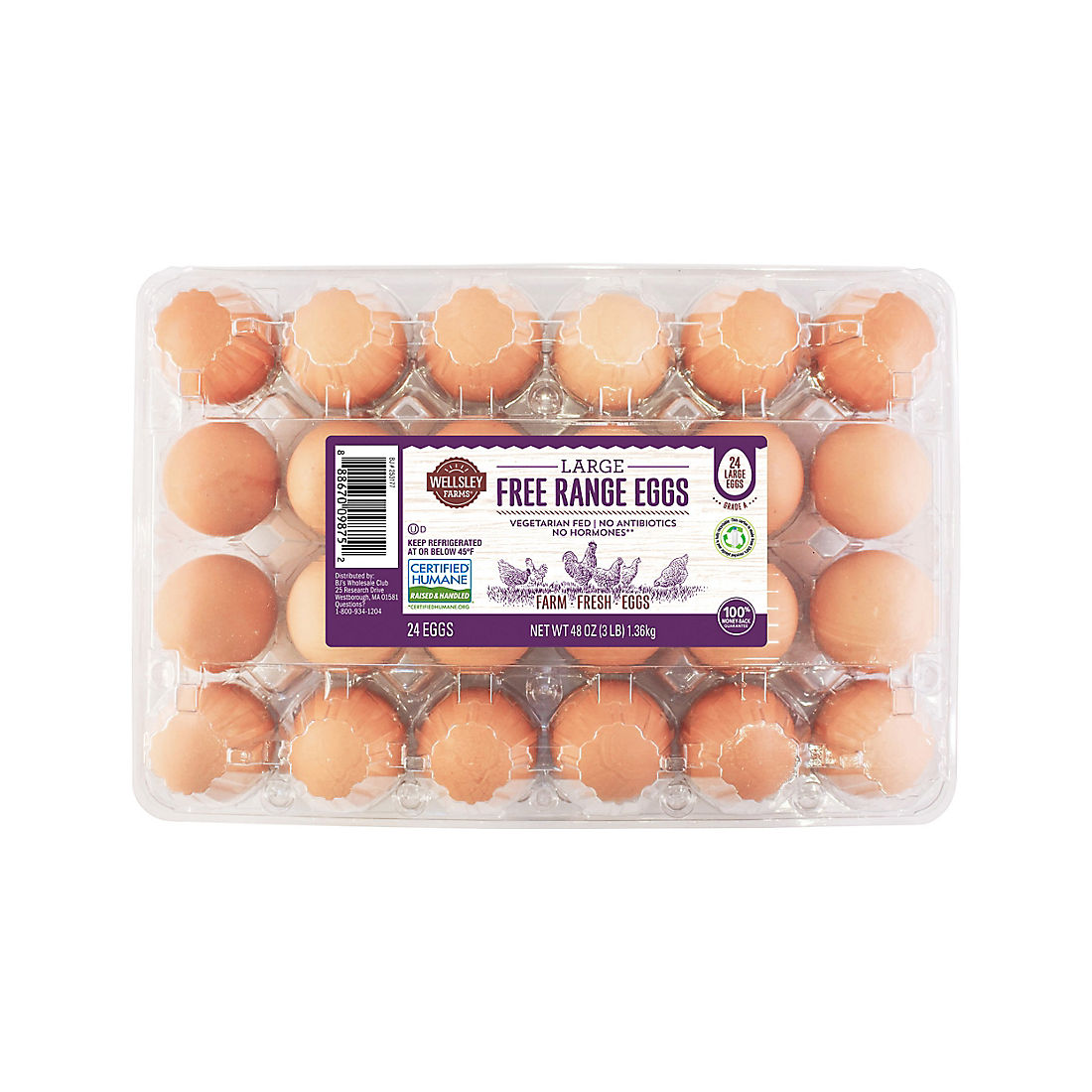 Wellsley Farms Free Range Large Eggs, 24 ct