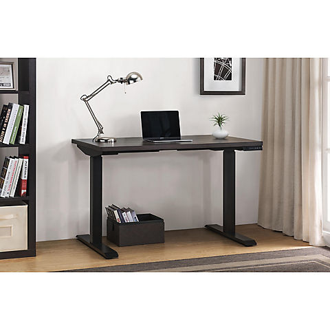 Sunjoy Emory Electric Sit/Stand Desk