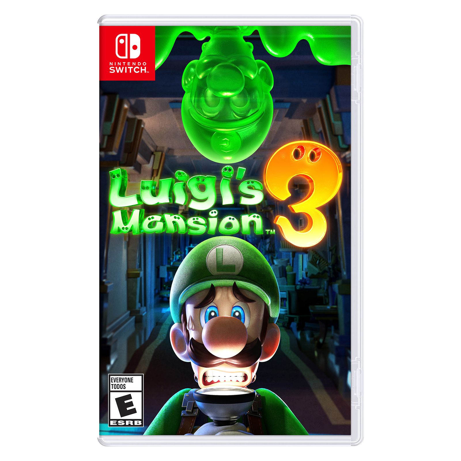 Luigi 2024 mario switch