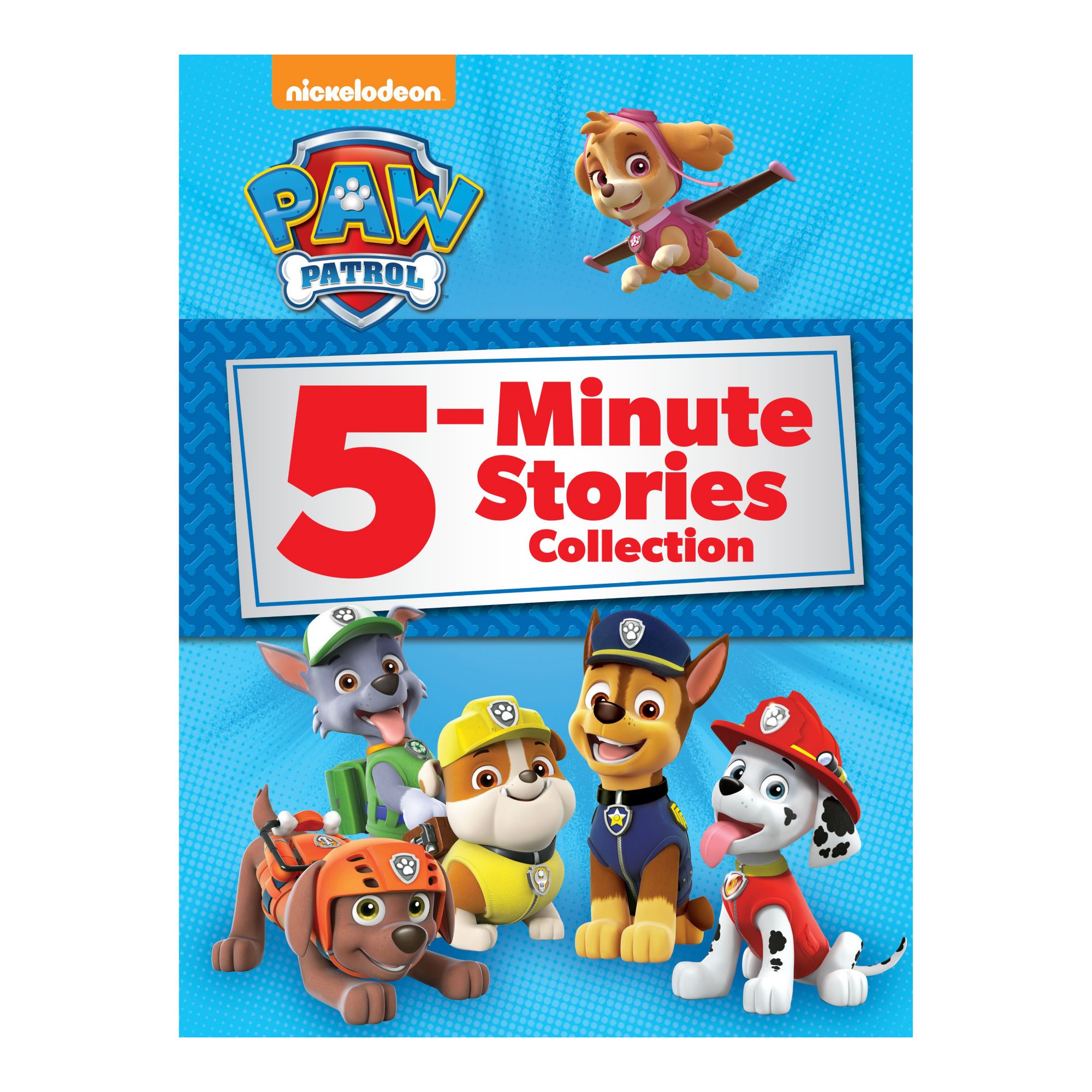 Nickelodeon PAW Patrol: Puppy Power! - Book Summary & Video, Official  Publisher Page