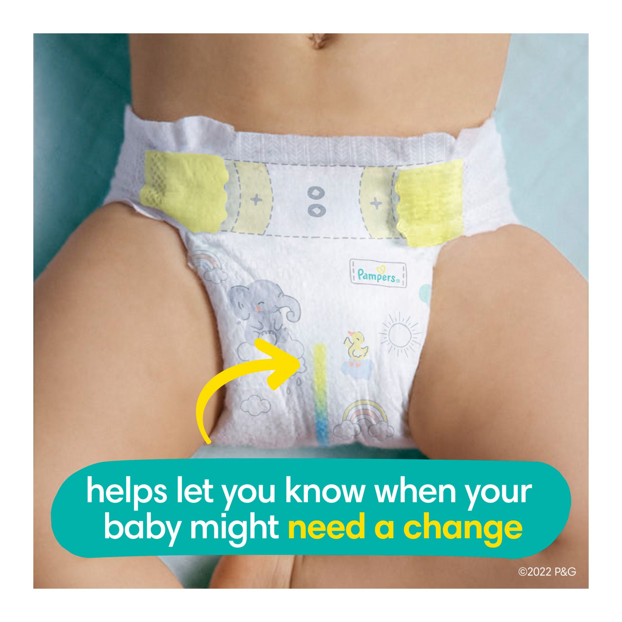 Bjs 2024 newborn diapers