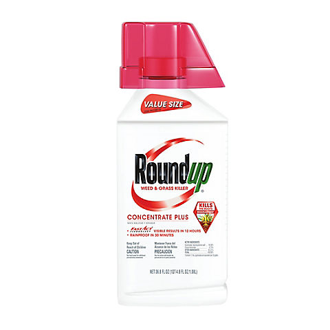 Roundup Weed & Grass Killer Concentrate Plus Value Size, 36.8 oz.