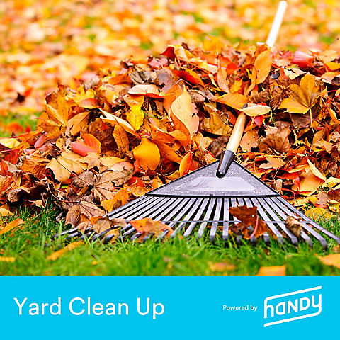 Handy Yard Cleanup, Up to 5k Sq. Ft.