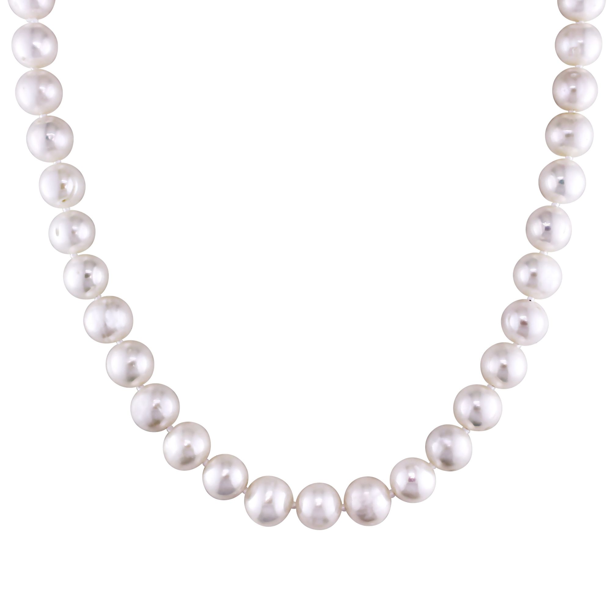 7.5-8mm Cultured Freshwater Pearl 18 Strand Necklace with Sterling Silver  Clasp