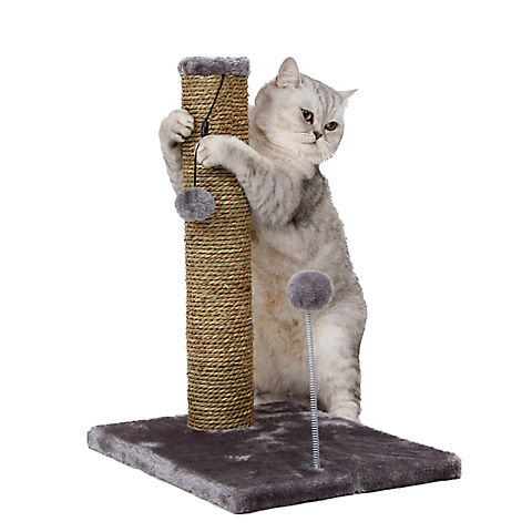 Cat Craft 20" Sea Grass Scratching Post with Spring Toy, 2 pk.